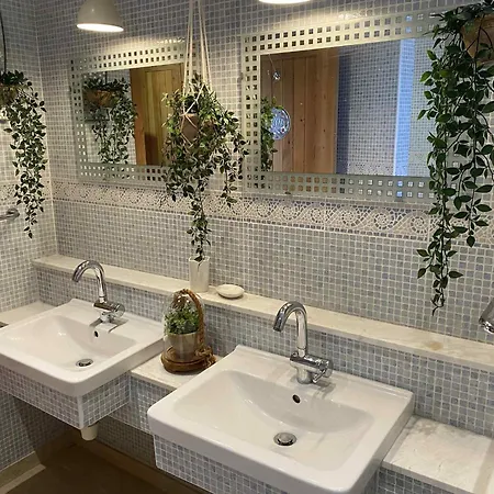 Olive Tree House *
