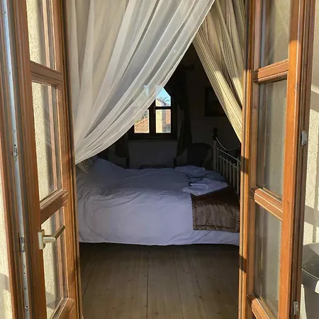 Olive Tree House