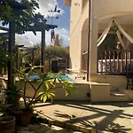 Olive Tree House Проживание в семье