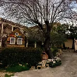 Olive Tree House * Anoyira