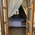 Olive Tree House