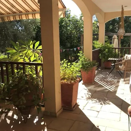 Séjour chez l'habitant Olive Tree House *