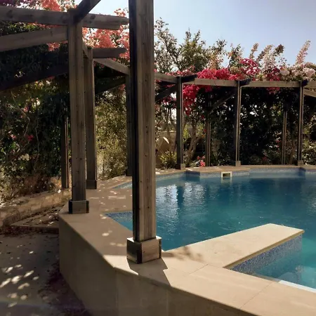 Olive Tree House Privat bolig