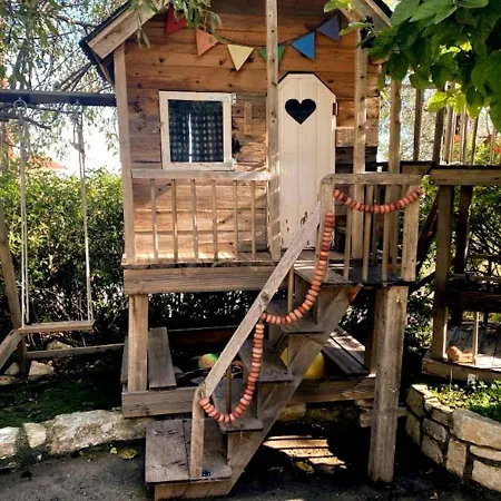 Séjour chez l'habitant Olive Tree House