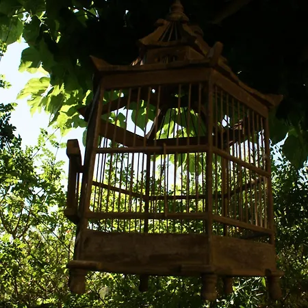 Olive Tree House *