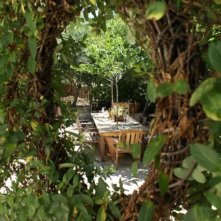 Privat bolig Olive Tree House *