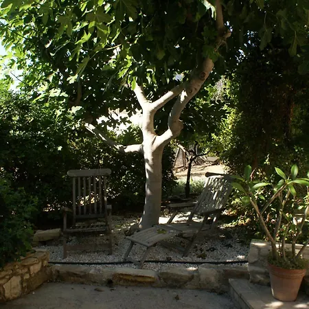Homestay Olive Tree House