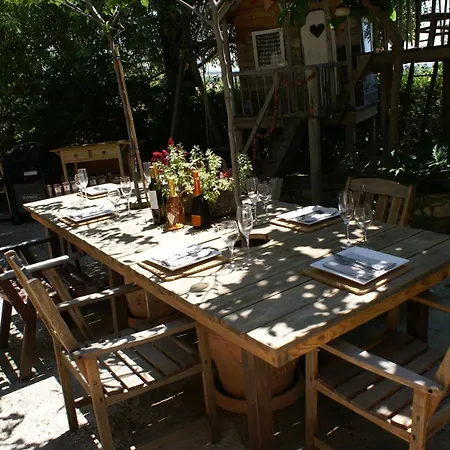 Olive Tree House *