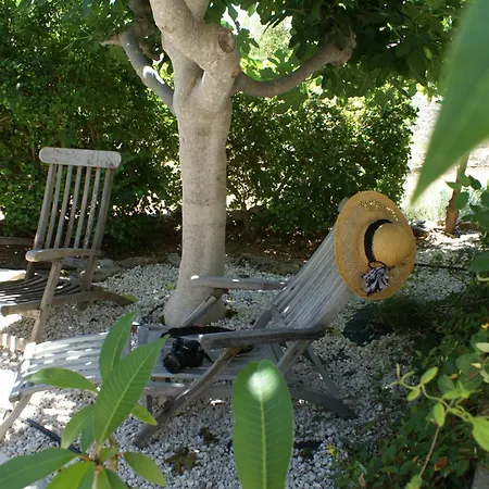Olive Tree House Privat bolig