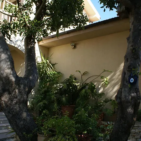 Olive Tree House