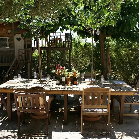 Olive Tree House Privat bolig