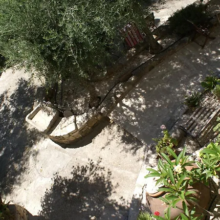 Olive Tree House