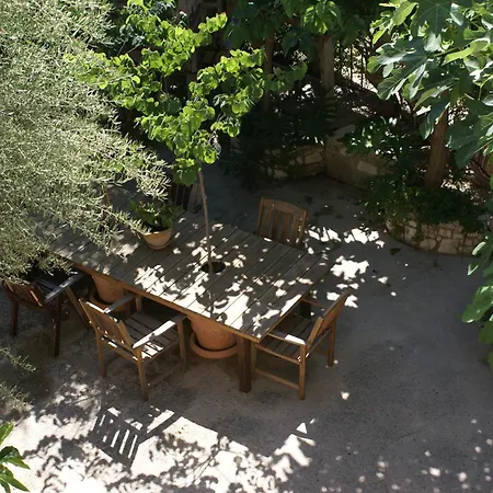 Olive Tree House