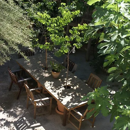 Olive Tree House *