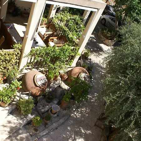 Olive Tree House *