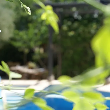 Privat bolig Olive Tree House Anoyira