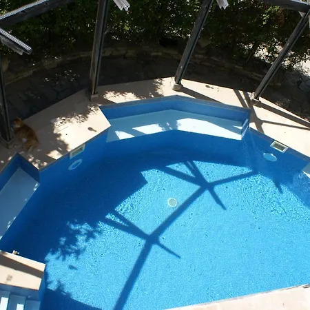 Homestay Olive Tree House *
