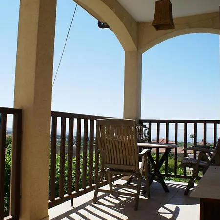 Olive Tree House Homestay