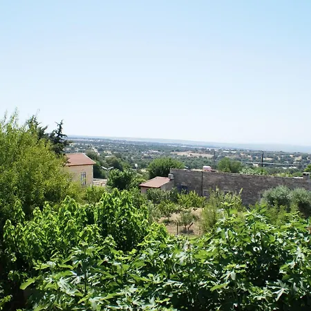 Olive Tree House
