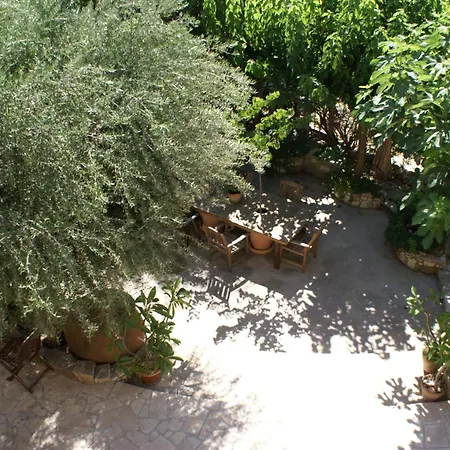 Olive Tree House Homestay *
