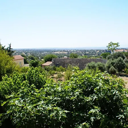 Olive Tree House Anoyira