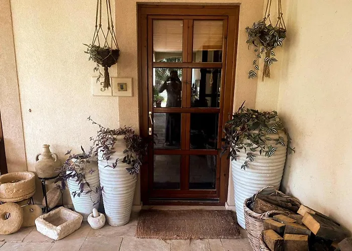 ホームステイ Olive Tree House