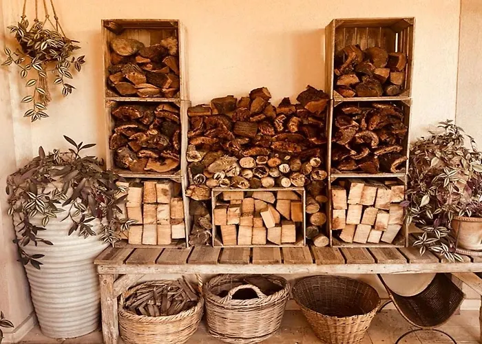 Olive Tree House ホームステイ