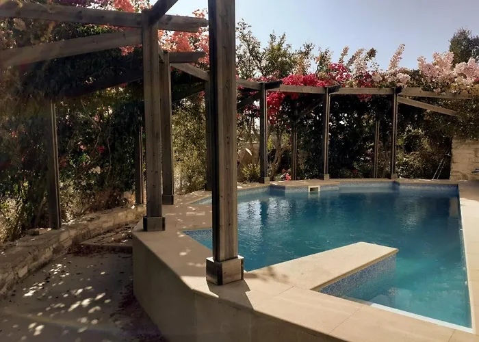 Olive Tree House ホームステイ