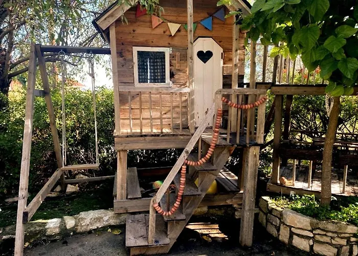 ホームステイ Olive Tree House