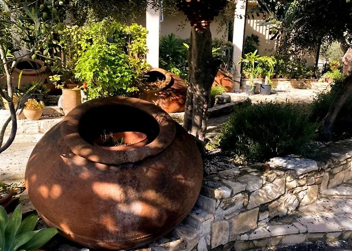 Olive Tree House ホームステイ *