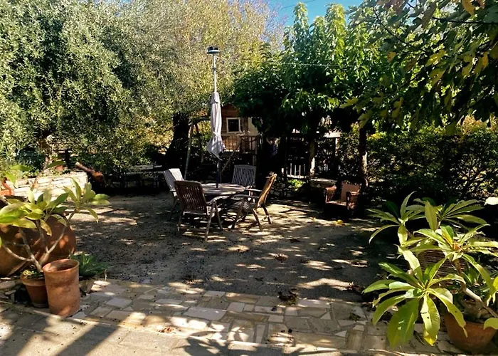 ホームステイ Olive Tree House *