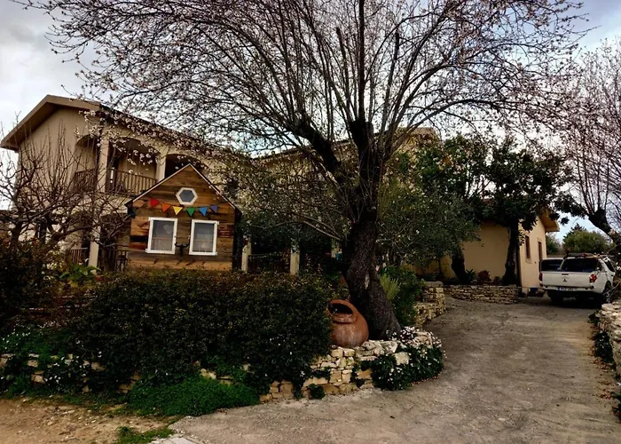 Olive Tree House * Anoyira