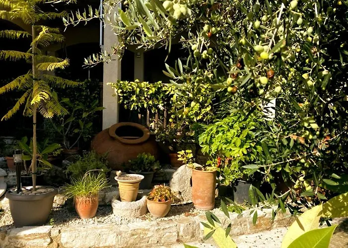 Olive Tree House ホームステイ